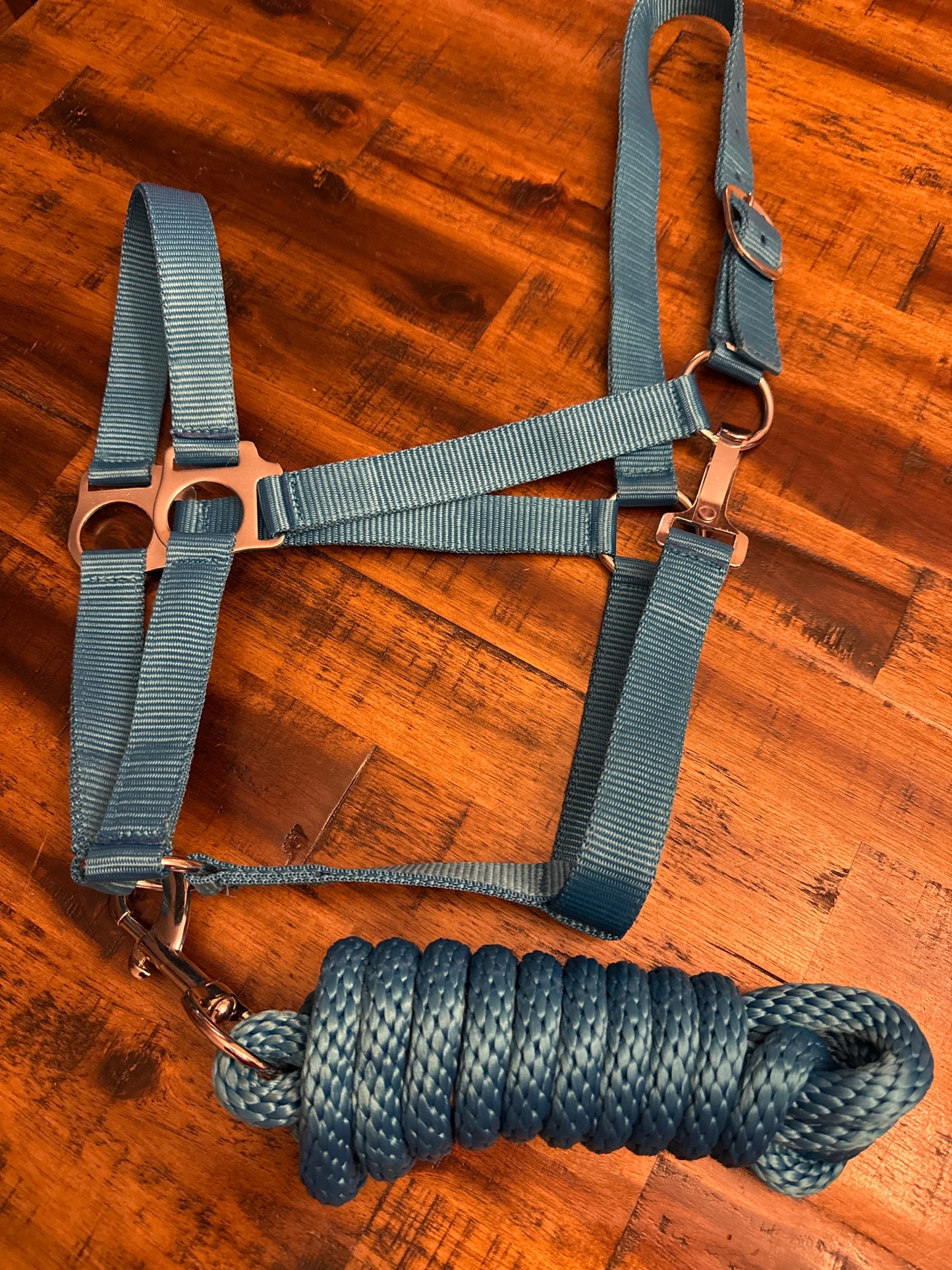 Full Size adjustable nylon halter with 8.5FT lead