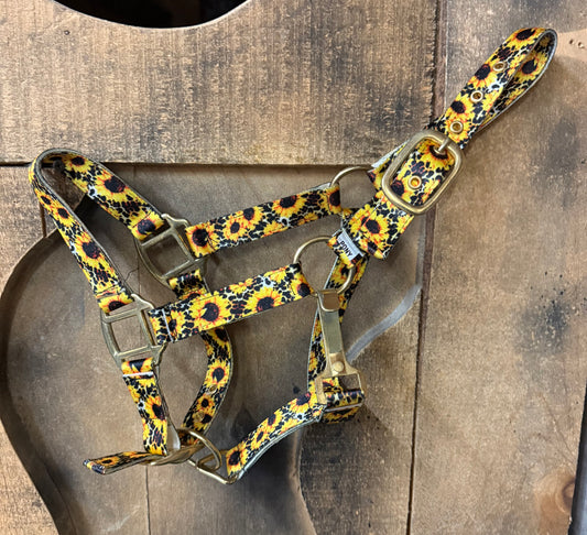 Premium sunflower & cheetah print nylon halter with brass hardware. PONY SIZE