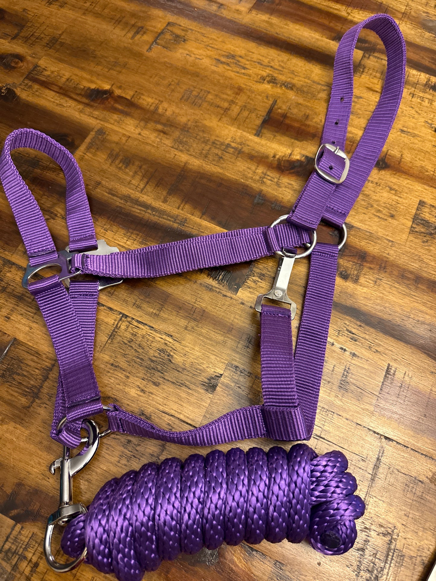 Full Size adjustable nylon halter with 8.5FT lead