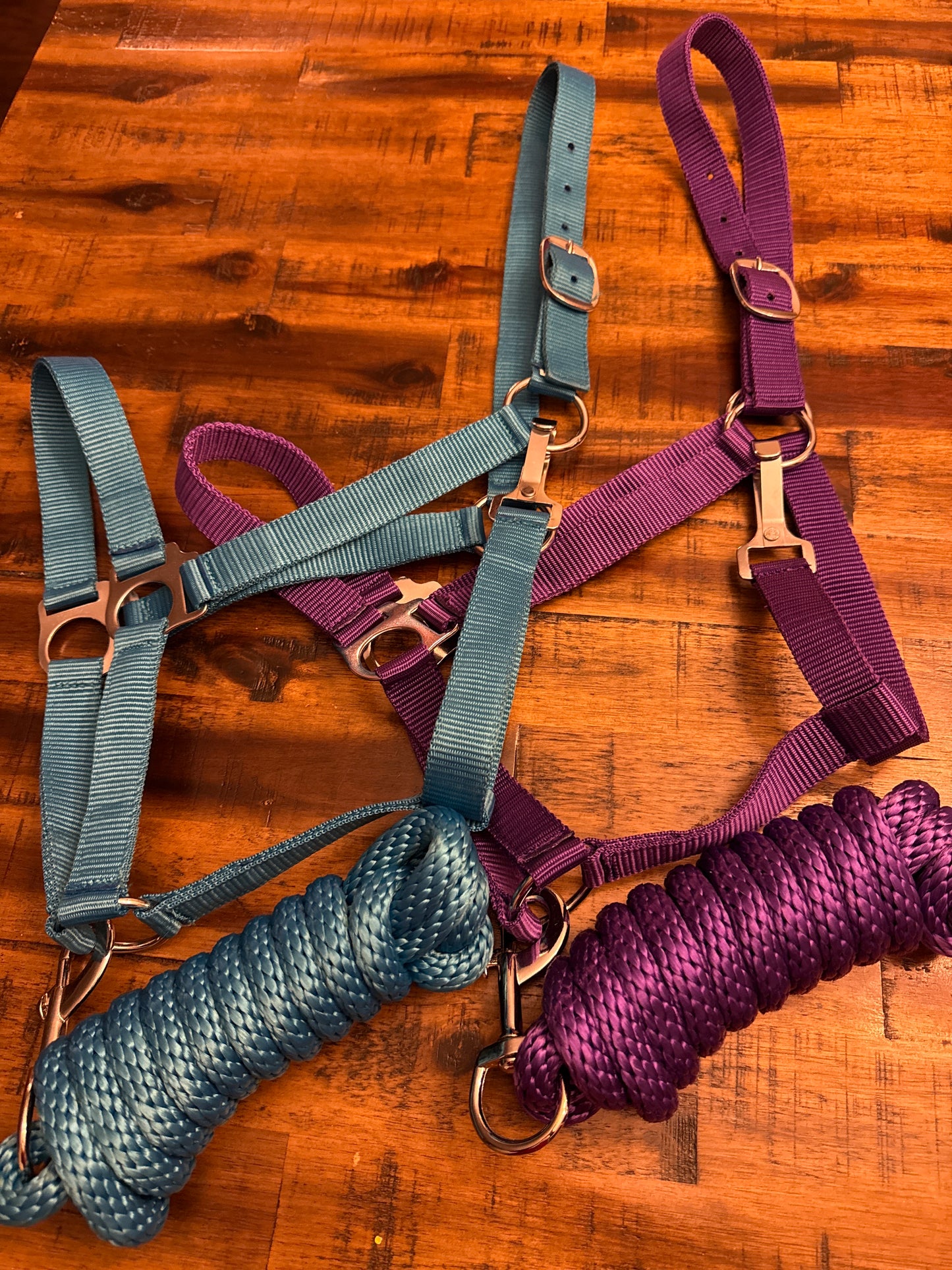 Full Size adjustable nylon halter with 8.5FT lead