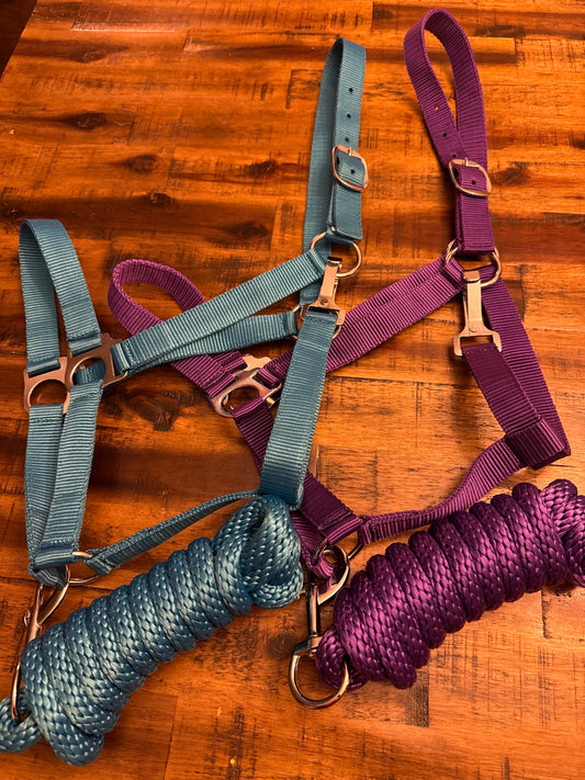 Full Size adjustable nylon halter with 8.5FT lead