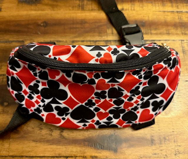 Saddle Pouch and Back Cinch Bags